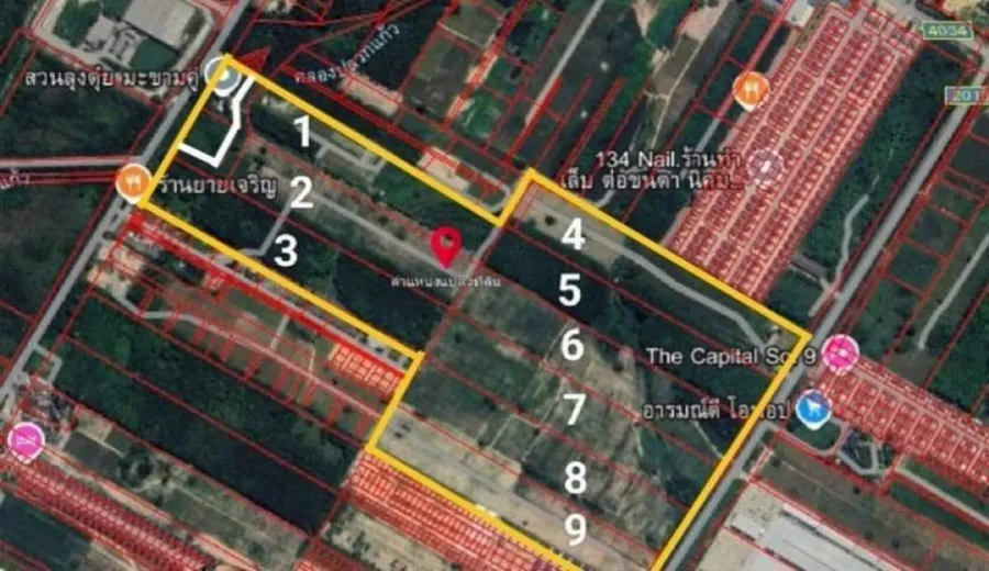ขาย ที่ดิน ระยอง ต.มะขามคู่ อ.นิคมพัฒนา (ซอย 9 สาย
