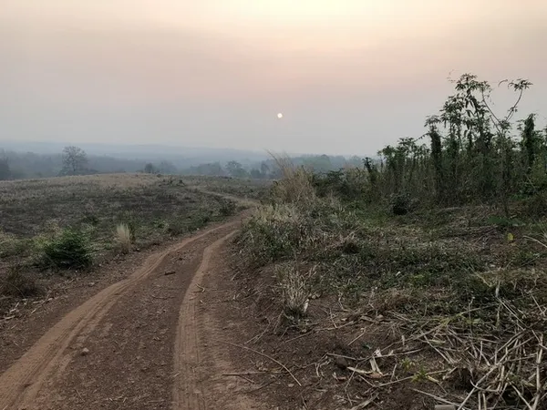 เล็งทรัพย์ดีเก็งเก็บอนาคต ธรรมชาติเนินเขา ที่ดินโฉนดแบ่งขาย หล่มเก่า เพชรบูรณ์ ใกล้ภูทับเบิก โทร 0968821857