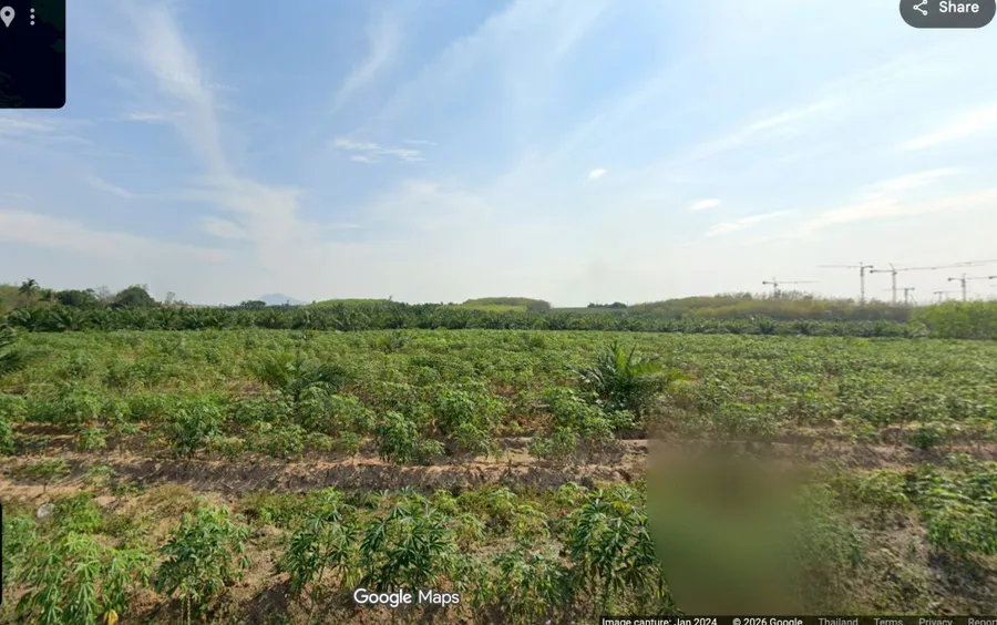 ขาย ที่ดิน 150 ไร่ ศักยภาพสูง ติดนิคมโรจนะ หนองใหญ