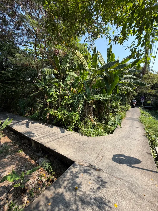 ขายที่ดินในซอยพระราม 2 ซ.28แยก 18 ติดกับร้านกาแฟ แนทชูล่า แปลงมุม