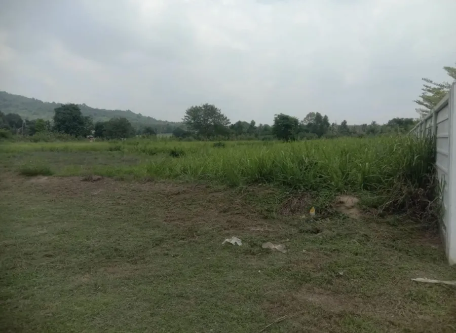 ขาย ที่ดิน อุตสาหกรรม ผังสีม่วง 7-3-0 ไร่ WHA2 ศรี