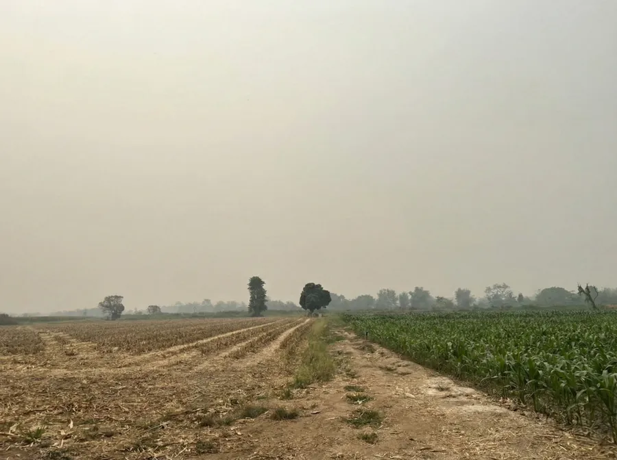 ขายที่ดิน 22 ไร่ 1 งาน 24.2 ตร.ว. ติดแม่น้ำกก ใกล้