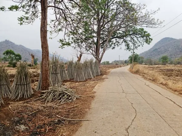สู่ยุคหาทรัพย์ดีเอื้อเศรฐกิจ ที่ดินติดภูเขา ต.พระนอน อ.เมือง จ.นครสวรรค์ วิวสวยมากๆๆ 5ไร่เศษ โทร 096-882-1857
