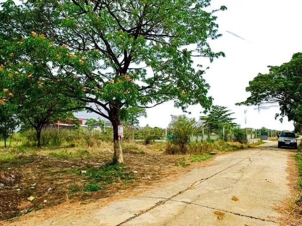 ขายที่ดินเปล่า 407 ตร.ว. ในหมู่บ้าน K C Garden Home ย่านมีนบุรี ซอยนิมิตรใหม่ 40