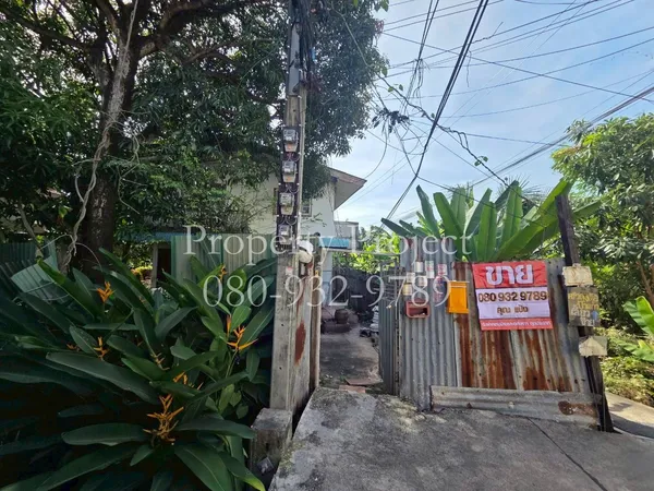 ขาย ที่ดิน 126 ตร.วา พร้อมบ้านเดี่ยว 2 หลัง ซอย เทอดไท 55