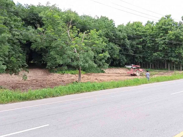 ขายสวนยาง 3.1ไร่ 60 ตรว ติดถนนสายหลัก ทำเลดี อำเภอขุนตาล จังหวัดเชียงราย 