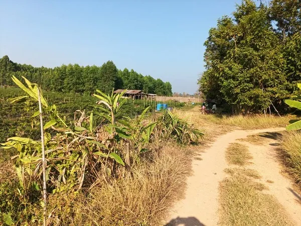 สู่ยุคหาทรัพย์ดีเอื้อเศรฐกิจ ที่ติดแม่น้ำโขง ต.กุดบง อ.โพนพิสัย จ.หนองคาย หลังติดแม่น้ำโขง ไร่ละ 2ล้านบาท โทร 096-882-18