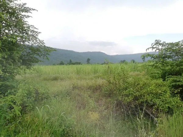 สู่ยุคหาทรัพย์ดีเอื้อเศรฐกิจ ขายที่ดินสวยติดภูเขา เทือกเขายาวเรียงแนว ดินดีสมบูรณ์ทรัพย์ในดิน ฟ้าใสวิวหลักล้าน ต.นาจาน อ