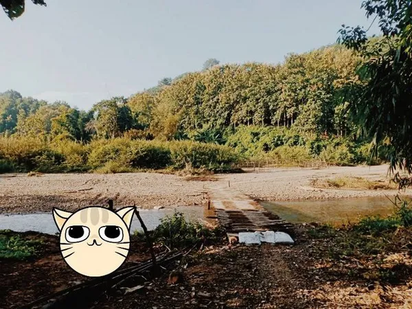 สู่ยุคหาทรัพย์ดีเอื้อเศรฐกิจ ขายที่ดินติดลำธารน้ำใสไหลริน ชุ่มฉ่ำตลอดปี สวยวิวล้าน 800000บาท 3-0-35ไร่ อำเภอสันติสุข น่า