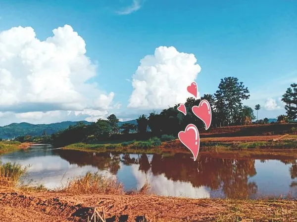 สู่ยุคหาทรัพย์ดีเอื้อเศรฐกิจ ที่สวยติดแม่น้ำน่าน น้ำใสไหลรินตลอดปี ต.ศรีภูมิ อ.ท่าวังผา จ.น่าน ขาย 800000 วิวดีสวยมาก 09