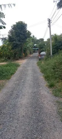 สู่ยุคหาทรัพย์ดีเอื้อเศรฐกิจ ขายบ้านไม้ จ.สิงห์บุรี วิถีไทย ต.โพทะเล วิถีไทย 262 วา ต.โพทะเล อ.ค่ายบางระจัน สิงห์บุรี 50