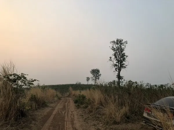 สู่ยุคหาทรัพย์ดีเอื้อเศรฐกิจ ธรรมชาติเนินเขา ที่ดินโฉนดแบ่งขาย หล่มเก่า เพชรบูรณ์ ใกล้ภูทับเบิก โทร 0968821857