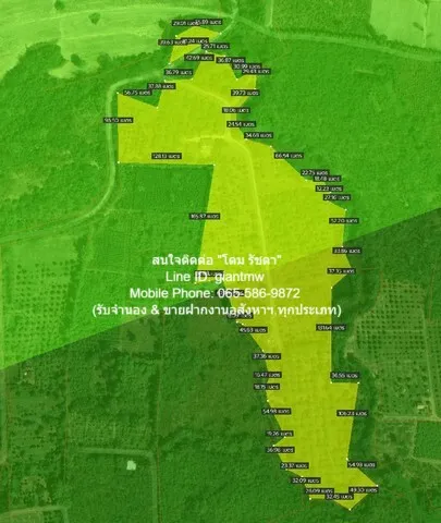 DSL-451 SALE ขาย ที่ดิน ขายที่ดินสวนผลไม้ปลอดสารพิษ (Organic) อ.ประจันตคาม จ.ปราจีนบุรี 57-0-90.4 ไร่, ราคา 57 ล้านบาท 2