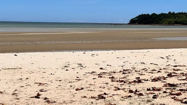 รีบหาที่ทางสวยงามสักแปลง ขายที่ดินริมหาดสะพลีทรายขาวน้ำใสคราม สวยงามวิวทะเลธรรมชาติสุดสุด ปะทิวใกล้หาดสวยทุ่งวัวแล่น