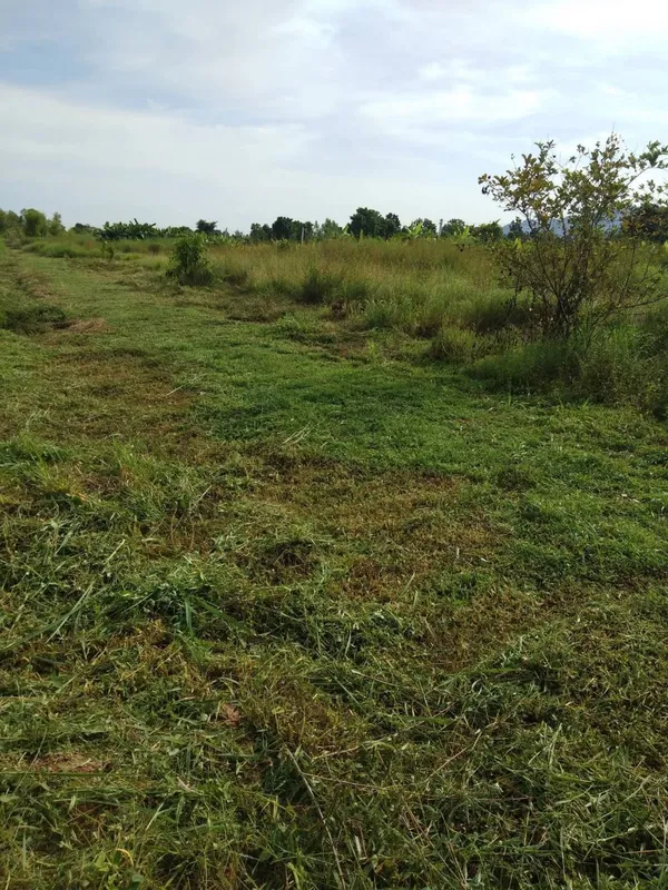 ขายถูกมาก!! บ้านสวนพร้อมที่ดิน 11 ไร่ พร้อมบ่อน้ำ 3 บ่อ อ.จอมบึง จ.ราชบุรี ใกล้อ่างเก็บน้ำห้วยไม้เต็ง 
ม.ราชภัฏจอมบึง