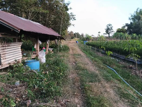 รีบหาที่ทางทำเกษตรพอเพียง ที่ติดแม่น้ำโขง ต.กุดบง อ.โพนพิสัย จ.หนองคาย หลังติดแม่น้ำโขง ไร่ละ 2ล้านบาท โทร 096-882-1857