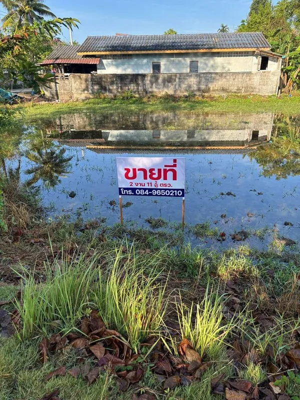 ขายที่ดินเปล่า ทำเลดี ใกล้ตลาด อ.เมือง พัทลุง