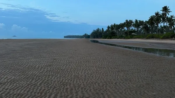 คุ้มค่าน่าลงทุนทรัพย์ในดิน ที่ติดทะเล ฝั่งแดง ขายราคาไร่ล่ะ 3.5 ล้านบาท โฉนดครุฑแดง พร้อมโอน