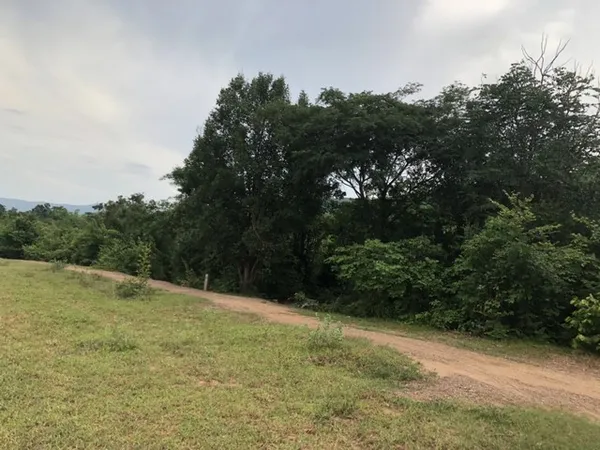 คุ้มค่าน่าลงทุนทรัพย์ในดิน ขายที่ดินสวยติดภูเขา เทือกเขายาวเรียงแนว ดินดีสมบูรณ์ทรัพย์ในดิน ฟ้าใสวิวหลักล้าน ต.นาจาน อ.ส