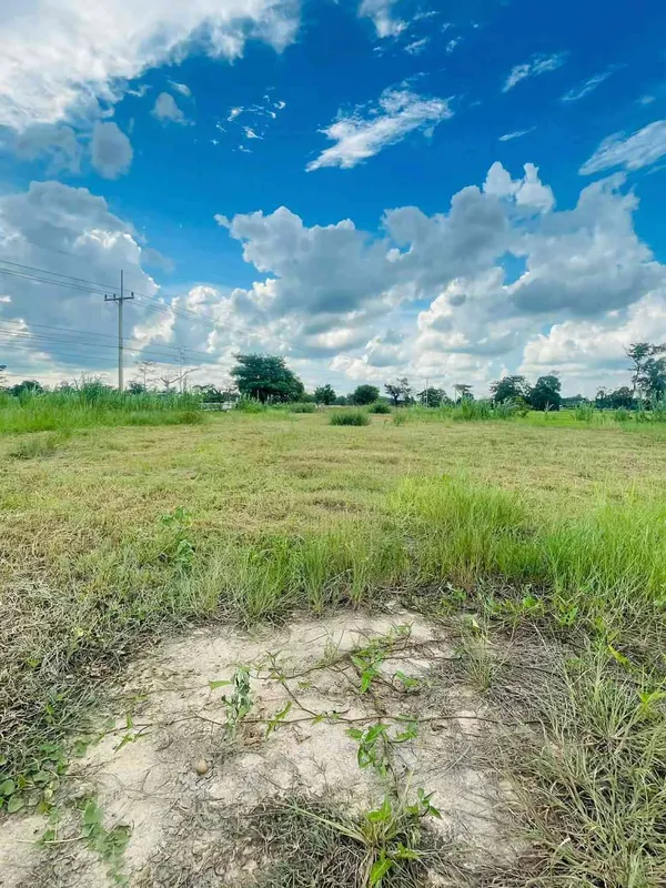ขายที่ดินเปล่า ทำเลทอง ใกล้ตัวอำเภอไพรบึง เพียงไม่ถึง 1 กม. อ.ไพรบึง จ.ศรีสะเกษ 