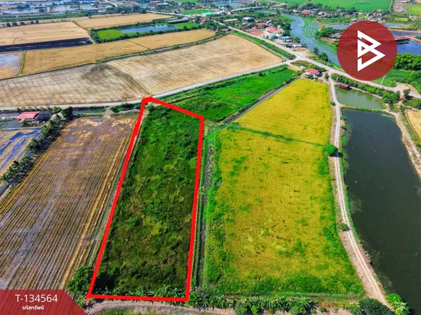 ขายที่ดิน เนื้อที่ 4 ไร่ 2 งาน 2.1 ตร.วา สองพี่น้อง สุพรรณบุรี