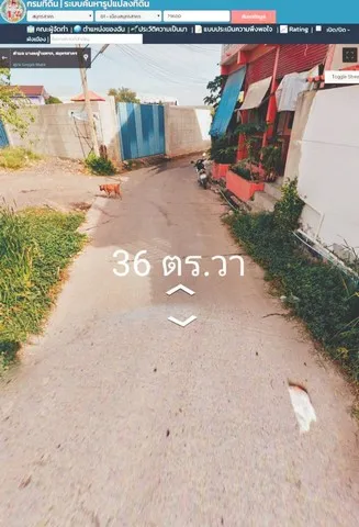 คุยง่ายขายคล่องให้ทางเลือก ขายบ้านเดี่ยว เมืองสมุทรสาคร 36 วา ชั้นเดียว บางหญ้าแพรก