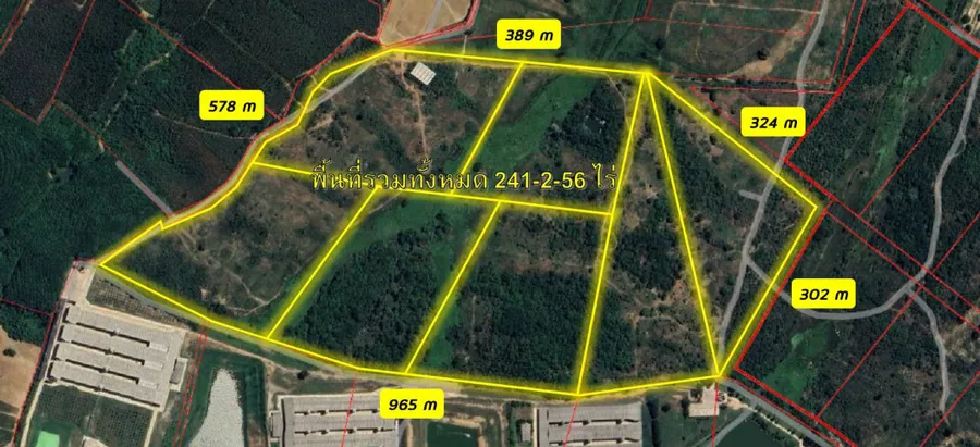 ขาย ที่ดินสีม่วงลาย 241-2-56 ไร่ หนองอิรุณ​ บ้านบึ