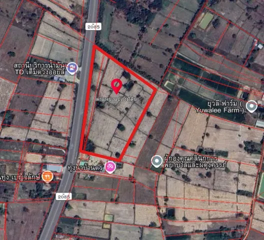 ขายที่ดิน 19ไร่ หน้ากว้าง 260 ม. ติดถนน 4 เลน กลางอำเภอเบญจลักษ์ จ.ศรีสะเกษ