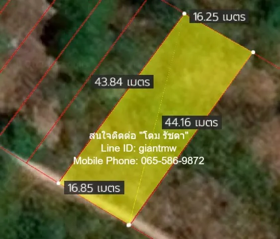 ที่ดิน ที่ดินเกาะพีพี จ.กระบี่ ทำเลดี