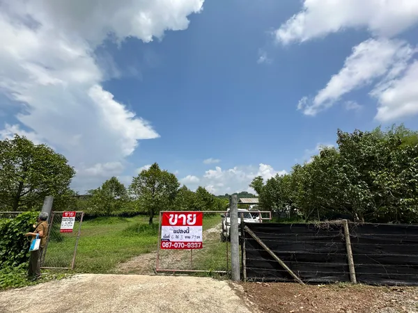 ขายสวนทุเรียน พร้อมเก็บเกี่ยวผลผลิต จังหวัดจันทบุรี