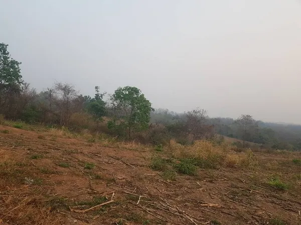 แปลงนี้ซื้อผ่อนเจ้าของได้ ธรรมชาติเนินเขา ที่ดินโฉนดแบ่งขาย หล่มเก่า เพชรบูรณ์ ใกล้ภูทับเบิก โทร 0968821857