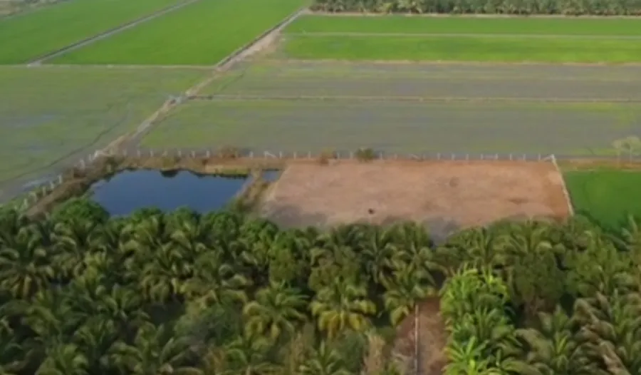 ขายที่ดินนครปฐม บางเลน 2 ไร่ 0 งาน 71.6 ตารางวา