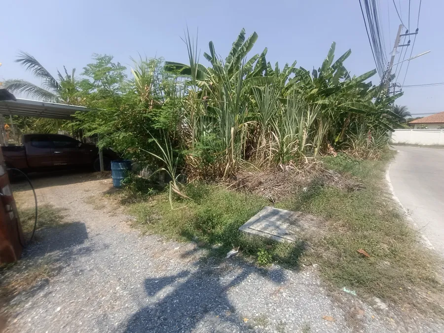 ขายที่ดินขนาด 111 ตร.ว. ติดถนนซอยเลียบคลองโยง อ.พุ