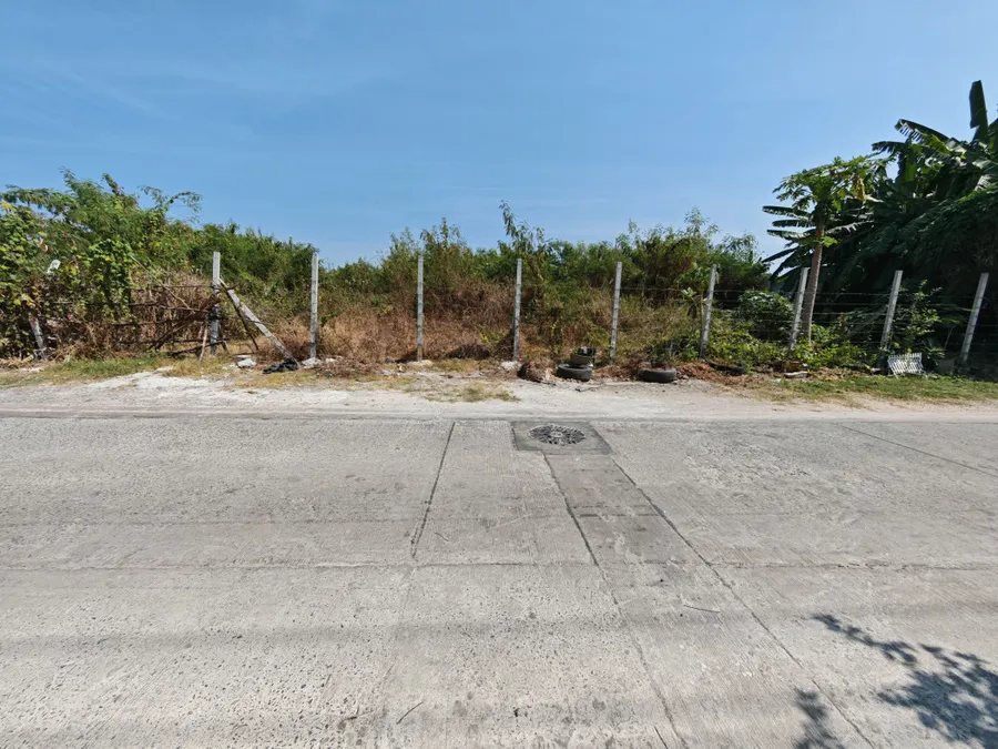 ที่ดิน 5-2-42.9 ไร่ บางไผ่ ซ.7 นนทบุรี ใกล้วัดทองน