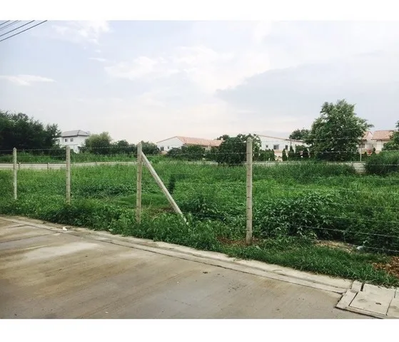 ขาย ที่ดินเปล่า แยก บางสีทอง ขนาด 317 ตารางวา ถนน.นครอินทร์ ต.บางสีทอง อ.บางกรวย