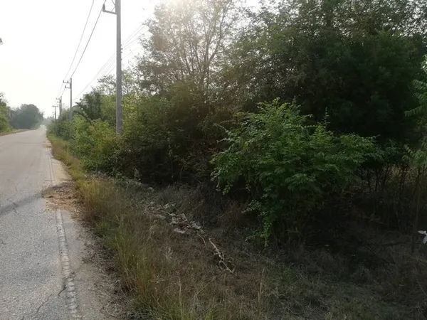 ฝากไว้ให้พิจารณานะคะ ขายที่สวยติดทางหลวง1107 บ้านตาก จ.ตาก คมนาคมสะดวก ไร่ละ 300000 ต.ตากตก อ.บ้านตาก จ.ตาก 0837124115