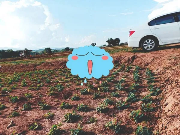 ฝากไว้ให้พิจารณานะคะ ที่สวยติดแม่น้ำน่าน น้ำใสไหลรินตลอดปี ต.ศรีภูมิ อ.ท่าวังผา จ.น่าน ขาย 800000 วิวดีสวยมาก 0968821857