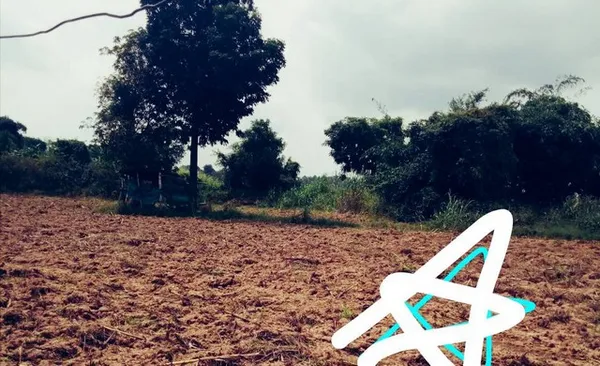 ฝากไว้ให้พิจารณานะคะ ขายที่สวยติดแม่น้ำน่าน ชุมแสง จ.นครสวรรค์ 300000 บาท.วิวแม่น้ำเกษตรดีงามสวยสมบูรณ์