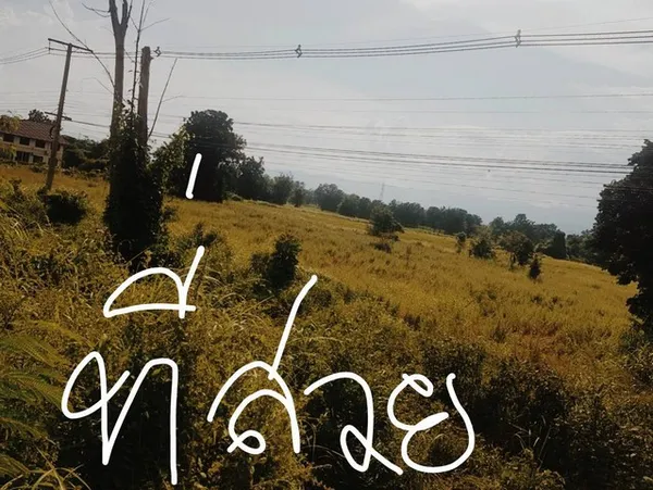 ฝากไว้ให้พิจารณานะคะ เมืองบ้านตากจังหวัดตาก 3-1-40 ไร่ ติดถนนเอเซีย AH1 ติดถนนพหลโยธิน ไร่ 3ลบ. โทร 096-8821857