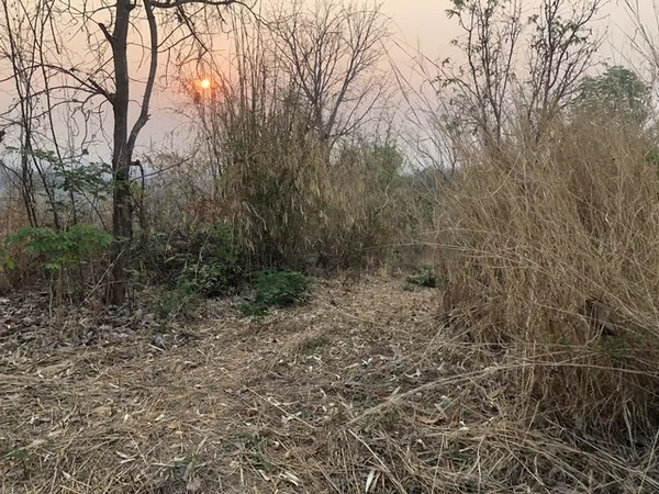 สรรหาทรัพย์ดีเพื่อคนไทย ธรรมชาติเนินเขา ที่ดินโฉนดแบ่งขาย หล่มเก่า เพชรบูรณ์ ใกล้ภูทับเบิก โทร 0968821857