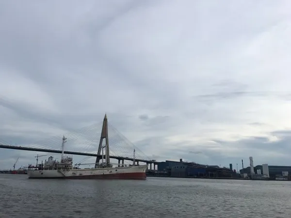 ขายที่ดินติดแม่น้ำเจ้าพระยา 23 -1-20 ไร่ พื้นที่สีม่วงหน้ากว้าง 56 เมตร ติดแม่น้ำ (สามารถสร้างท่าเรือได้)