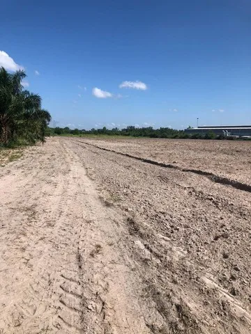 ขายที่ดินบ้านบึงชลบุรี เสนอขายที่ดิน 49-3-38.1 ไร่ ผัง สีเหลืองอ่อน ด้านข้างติดโรงงาน ที่ดินรูปแปลงสวย พื้นเสมอ ไม่ต้องถ