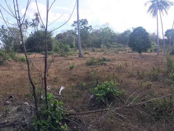 ที่ดิน ที่ดิน หาดหน้าทอน เกาะสมุย 33268500 บาท ใกล้ ห่างหาดหน้าทอน 1.5 กม. และห่างท่าเรือซีทรานเฟอร์รี่ ประมาณ 2 กม. ราค