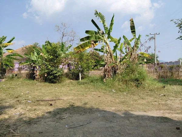 ฝากไว้ให้พิจารณานะคะ ที่ปากช่อง 2ไร่- 8ไร่ โฉนด ต.วังไทร อ.ปากช่อง จ.นครราชสีมา ไร่ละ 2.9 ลบ.สูงจากระดับน้ำทะเลมาก น้ำไฟ