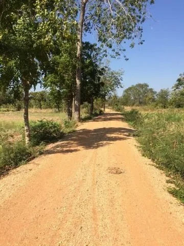 ขายที่ดินที่นา 7ไร่95ตรว. 1.1ลบ. หลังบ้านหนองบัวขาว-โนนกอก ใกล้ ถ.ชัยภูมิ-บ้านเขว้า ต.รอบเมือง อ.เมือง ชัยภูมิ