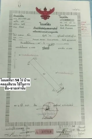ที่ดินทำเลดี 14 ไร่ จังหวัดกำแพงเพชร ใกล้ชุมชน น้ำดีตลอดปี เหมาะลงทุนหรือทำเกษตร