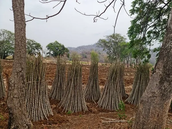 บอกขายที่ดินทำเลดีราคาคุยได้ ที่ดินติดภูเขา ต.พระนอน อ.เมือง จ.นครสวรรค์ วิวสวยมากๆๆ 5ไร่เศษ โทร 096-882-1857