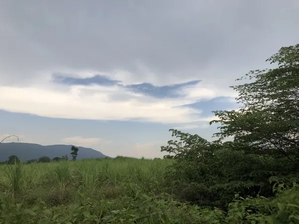 บอกขายที่ดินทำเลดีราคาคุยได้ ขายที่ดินสวยติดภูเขา เทือกเขายาวเรียงแนว ดินดีสมบูรณ์ทรัพย์ในดิน ฟ้าใสวิวหลักล้าน ต.นาจาน อ