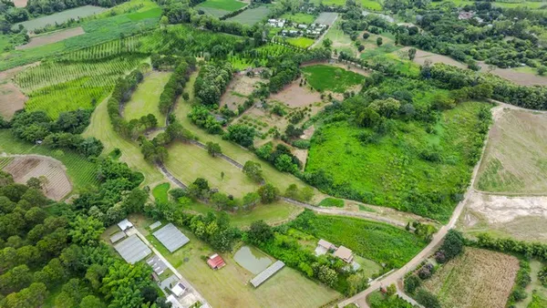 ที่ดินแปลงใหญ่ 98 ไร่ เขาค้อ เฟส 5 Paradise โอกาสครอบครองที่ดินผืนใหญ่ ในสวิตเซอร์แลนด์เมืองไทย