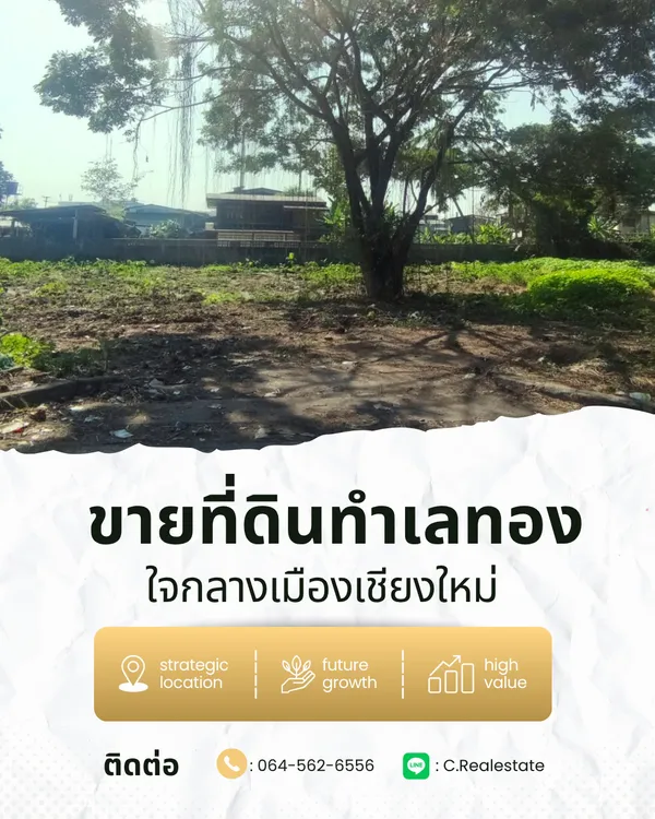 5 นาที โลตัสคำเที่ยง ที่ดินใจกลางเมืองใกล้แม่น้ำปิง 298 ตร.วา ต.ป่าตัน อ.เมือง จ.เชียงใหม่